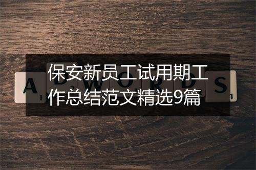 保安新员工试用期工作总结范文精选9篇
