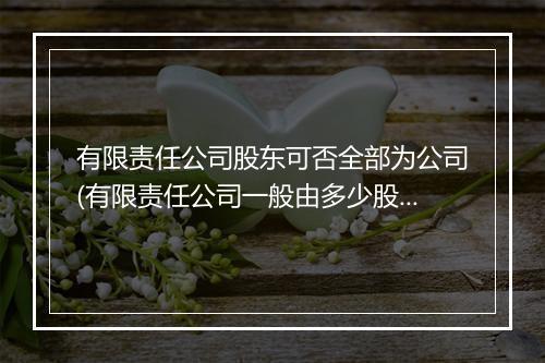 有限责任公司股东可否全部为公司(有限责任公司一般由多少股东构成)