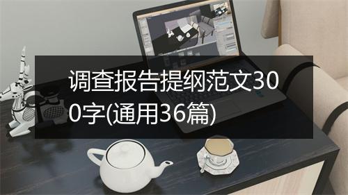 调查报告提纲范文300字(通用36篇)