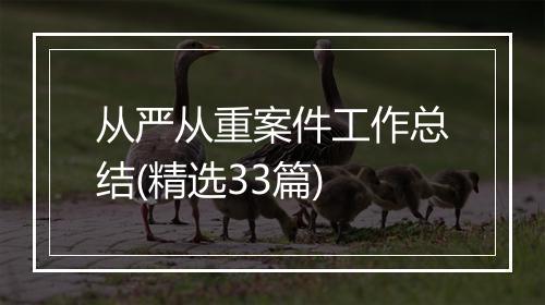从严从重案件工作总结(精选33篇)