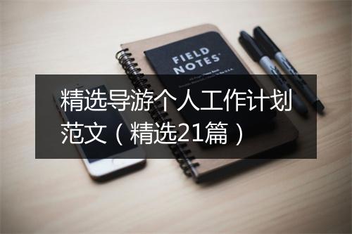 精选导游个人工作计划范文（精选21篇）