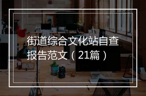 街道综合文化站自查报告范文（21篇）