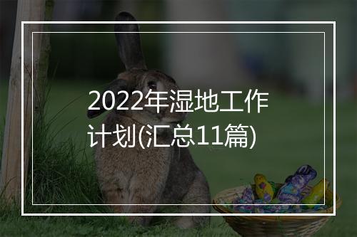 2022年湿地工作计划(汇总11篇)