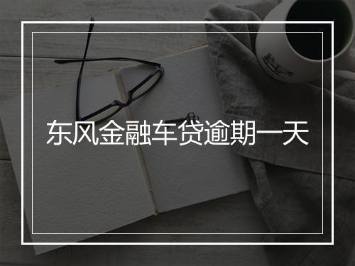 东风金融车贷逾期一天