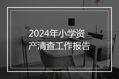 2024年小学资产清查工作报告