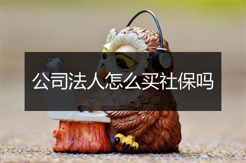 公司法人怎么买社保吗