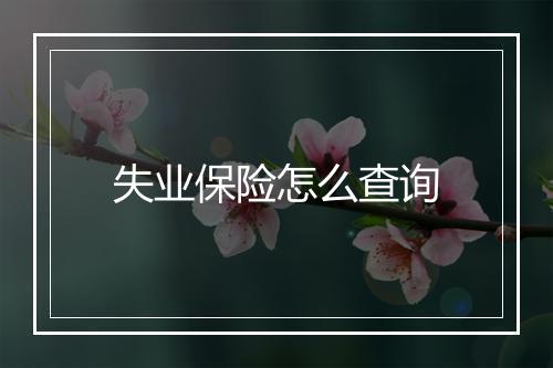 失业保险怎么查询
