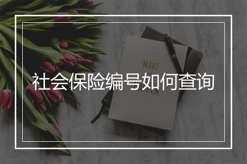 社会保险编号如何查询