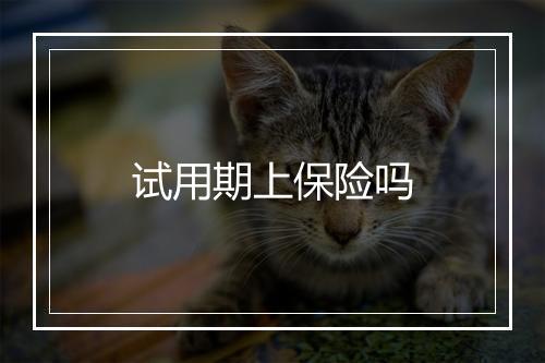 试用期上保险吗
