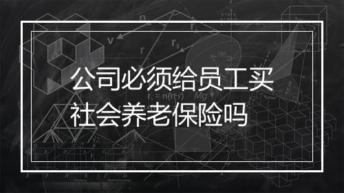 公司必须给员工买社会养老保险吗