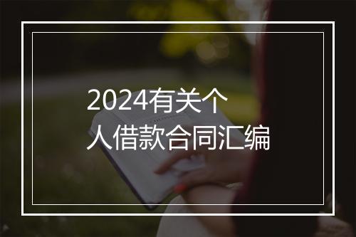 2024有关个人借款合同汇编
