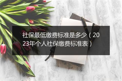 社保最低缴费标准是多少（2023年个人社保缴费标准表）