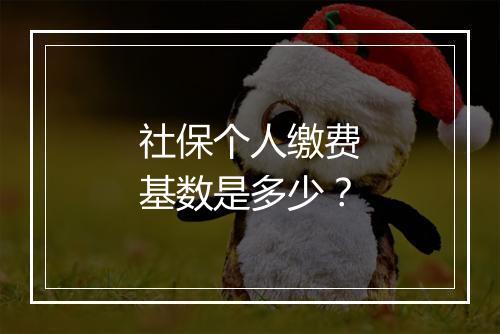 社保个人缴费基数是多少？