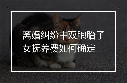 离婚纠纷中双胞胎子女抚养费如何确定
