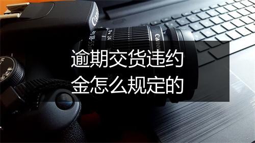 逾期交货违约金怎么规定的