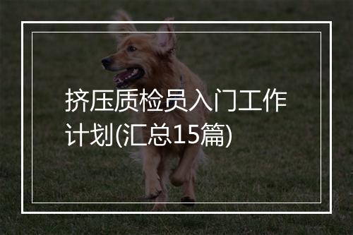 挤压质检员入门工作计划(汇总15篇)