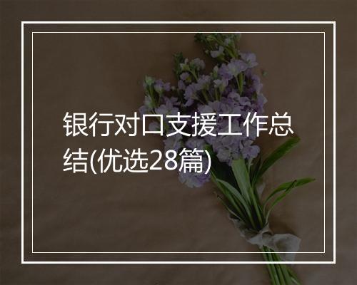 银行对口支援工作总结(优选28篇)