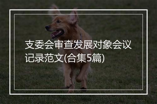 支委会审查发展对象会议记录范文(合集5篇)