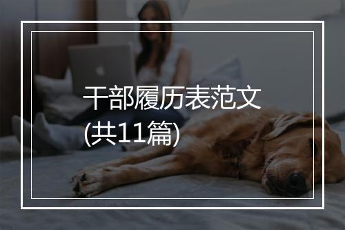 干部履历表范文(共11篇)