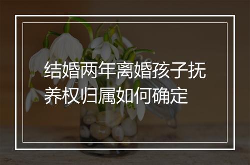 结婚两年离婚孩子抚养权归属如何确定