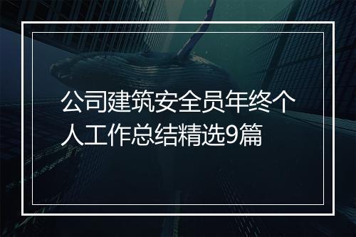 公司建筑安全员年终个人工作总结精选9篇
