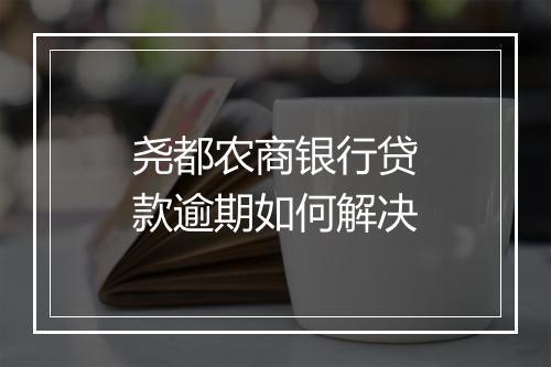 尧都农商银行贷款逾期如何解决