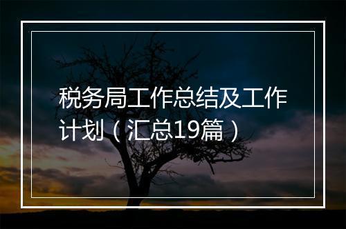 税务局工作总结及工作计划（汇总19篇）