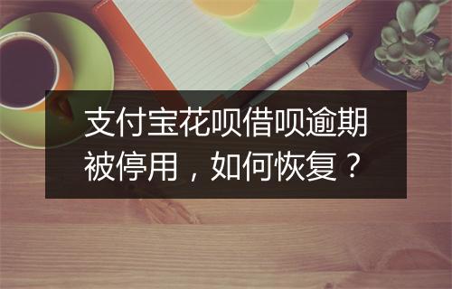 支付宝花呗借呗逾期被停用，如何恢复？