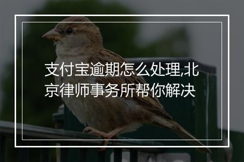 支付宝逾期怎么处理,北京律师事务所帮你解决
