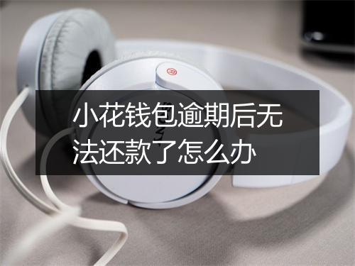 小花钱包逾期后无法还款了怎么办