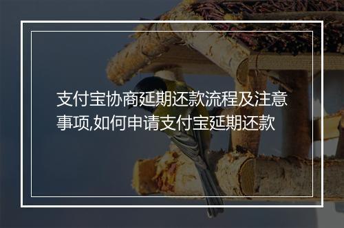 支付宝协商延期还款流程及注意事项,如何申请支付宝延期还款