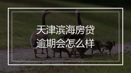 天津滨海房贷逾期会怎么样