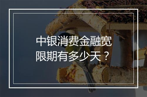 中银消费金融宽限期有多少天？