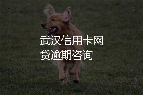 武汉信用卡网贷逾期咨询