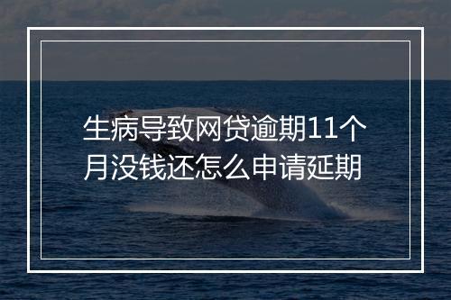 生病导致网贷逾期11个月没钱还怎么申请延期
