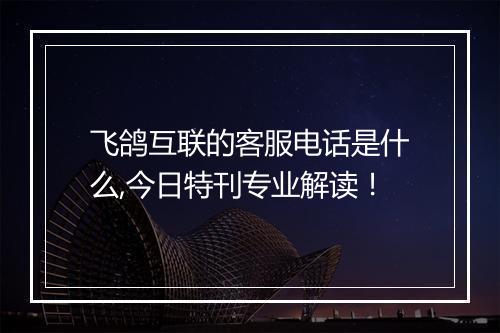 飞鸽互联的客服电话是什么,今日特刊专业解读！