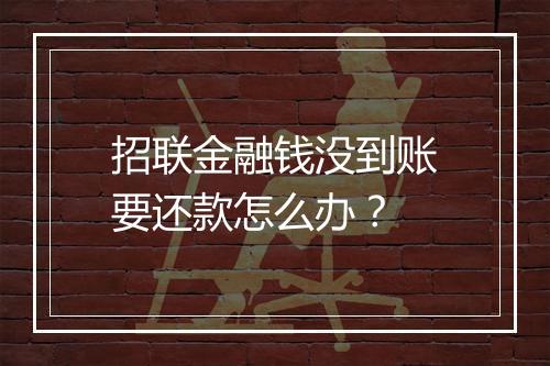 招联金融钱没到账要还款怎么办？