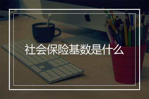 社会保险基数是什么