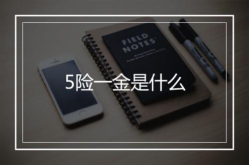 5险一金是什么