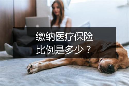 缴纳医疗保险比例是多少？