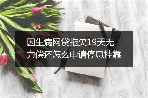 因生病网贷拖欠19天无力偿还怎么申请停息挂靠