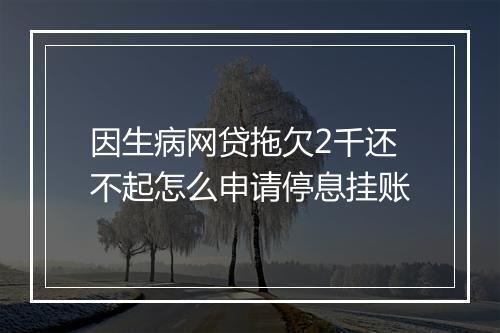 因生病网贷拖欠2千还不起怎么申请停息挂账
