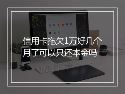 信用卡拖欠1万好几个月了可以只还本金吗