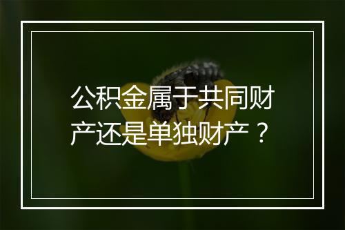 公积金属于共同财产还是单独财产？