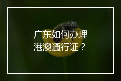 广东如何办理港澳通行证？