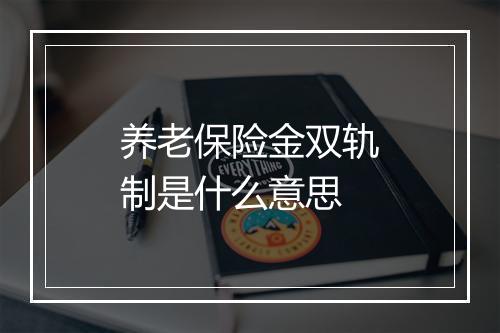 养老保险金双轨制是什么意思