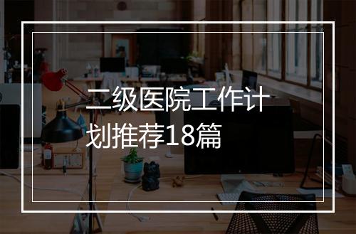 二级医院工作计划推荐18篇