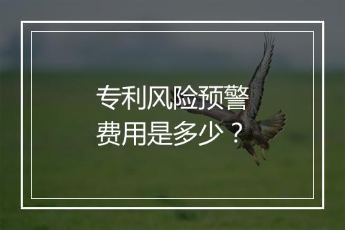 专利风险预警费用是多少？