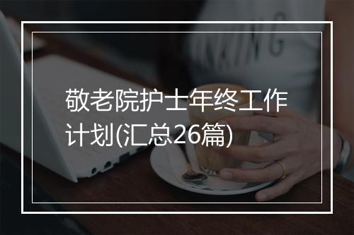 敬老院护士年终工作计划(汇总26篇)