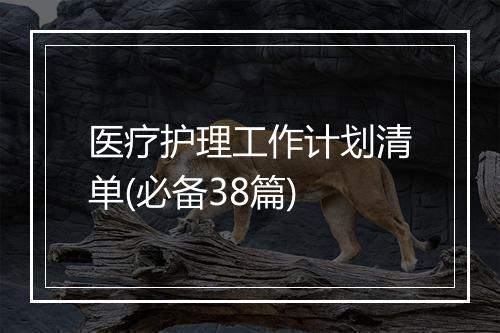 医疗护理工作计划清单(必备38篇)